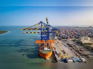 eds-to-go-with-story-mundra-a-cargo-ship-anchored-at-adani-group-owned-mun-